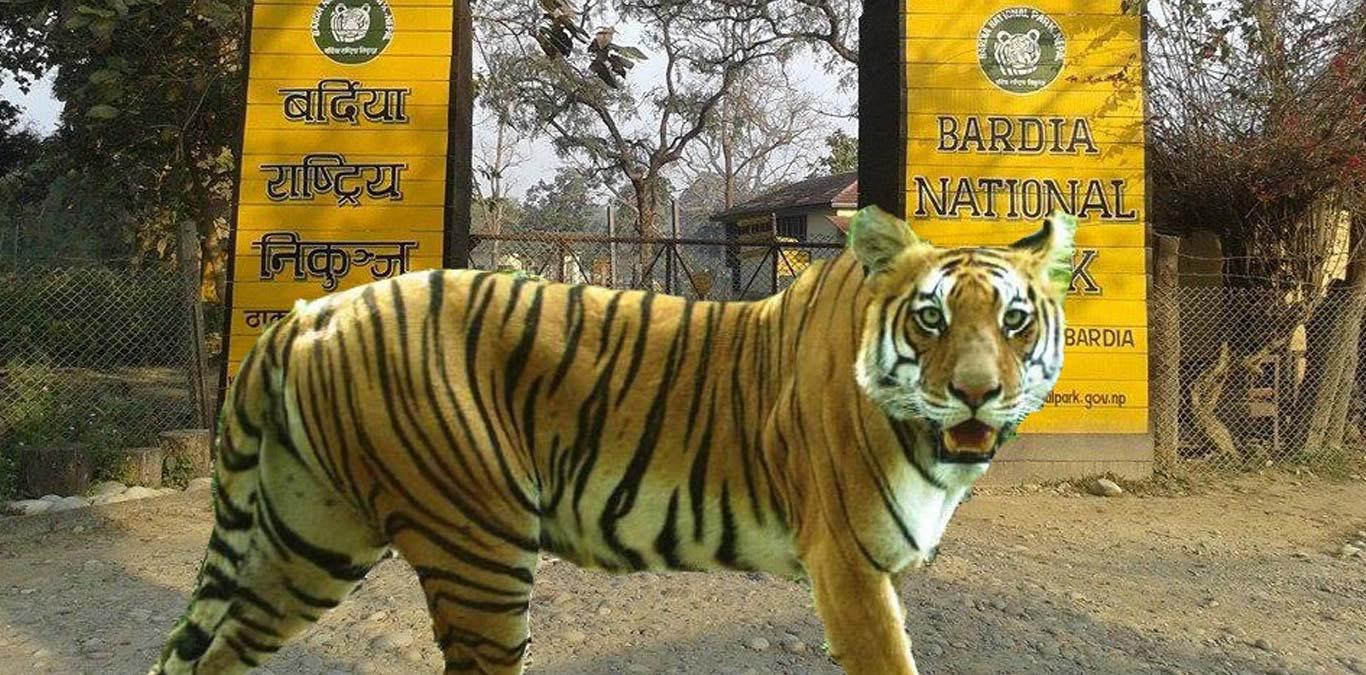 Bardiya National Park Wildlife Safari