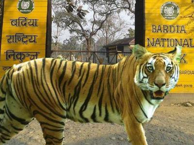 Bardiya National Park Wildlife Safari